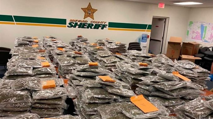 marihuana sheriff marihuana sheriff