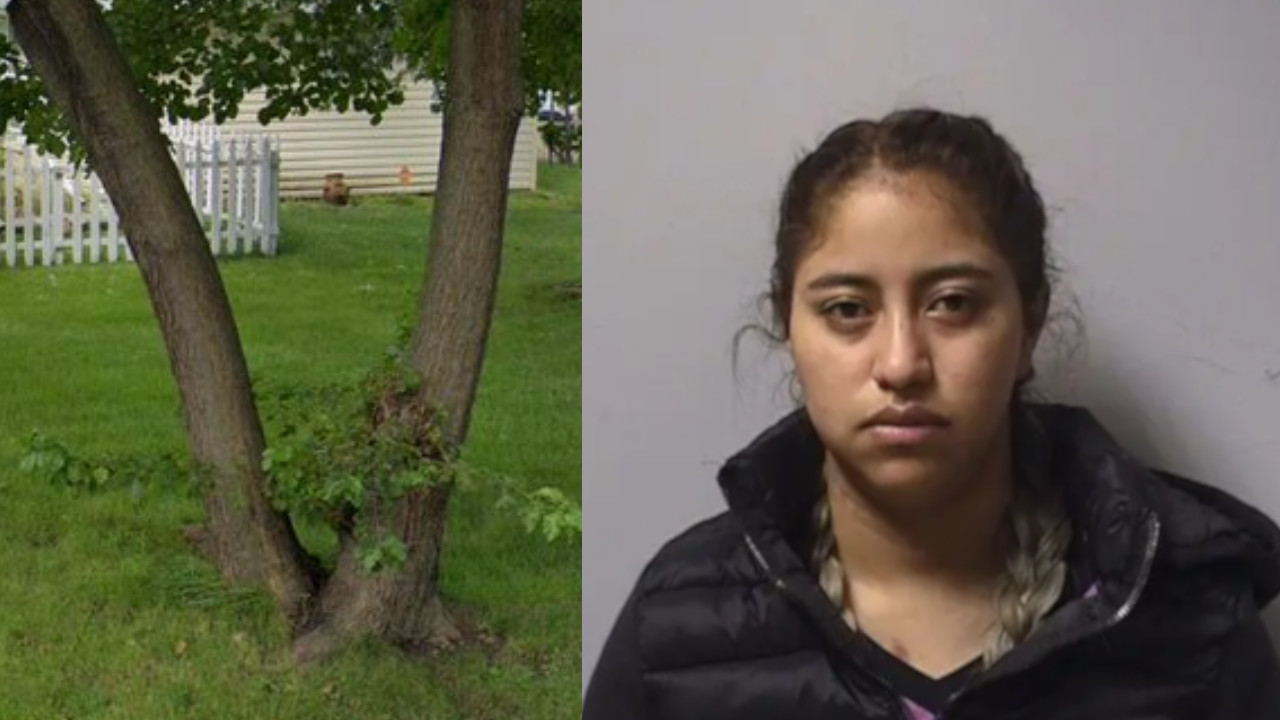 ¡Desalmada! Dio a luz en secreto, luego asfixió a su bebé y lo enterró en el patio de la casa