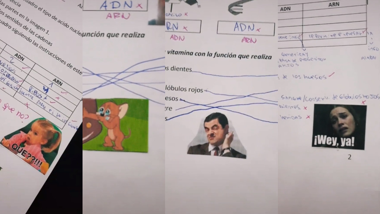 ¡Con memes! Divertida forma en la que una profesora califica a sus estudiantes