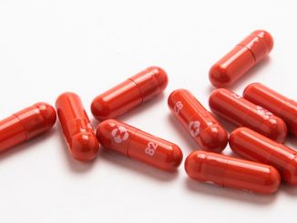 OMS: tratamiento de Merck en pastillas "puede ser nueva arma contra la COVID" 1 molnupiravir