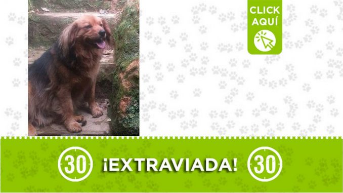 "Niña" se perdió en el Alto de las Minas "Niña" se perdió en el Alto de las Minas