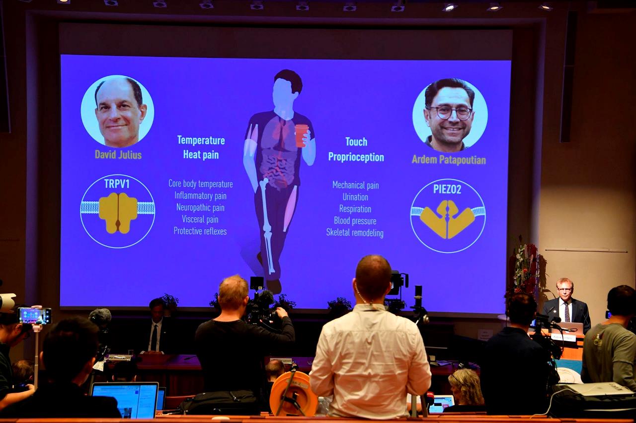 Nobel de Medicina para Julius y Patapoutian por sus hallazgos sobre el tacto 2 nobel de medicina1