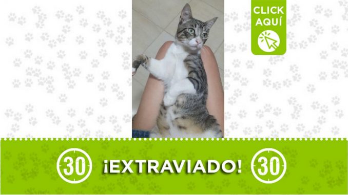 oreo perido granizal 2021
