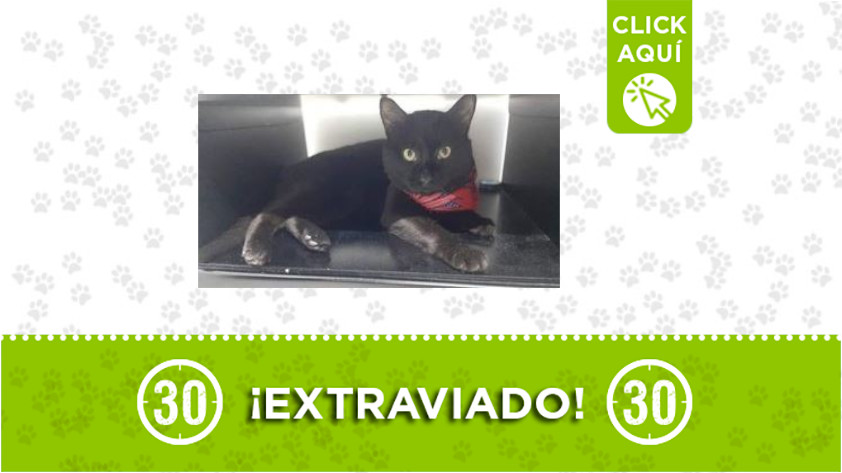 San Antonio de Prado-perdido