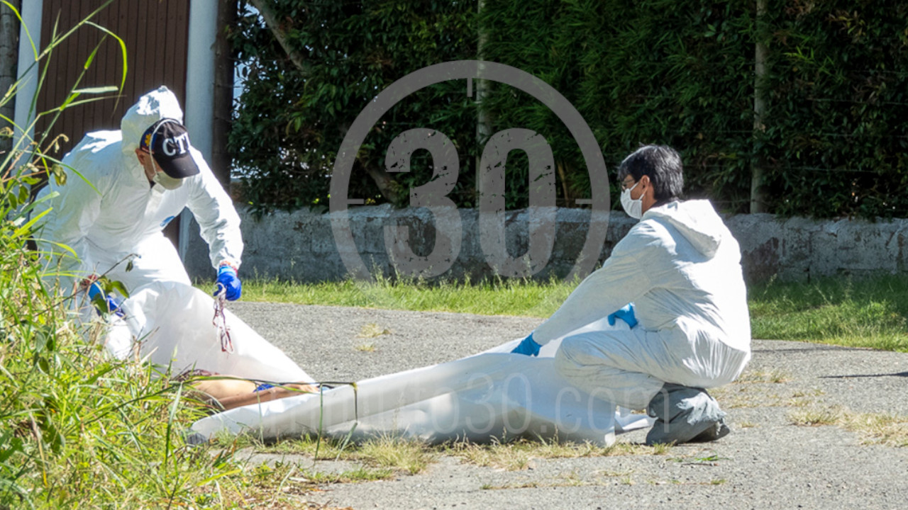 EN FOTOS: Entre matorrales encontraron un cuerpo en San Cristóbal, esta madrugada 10 San Cristóbal