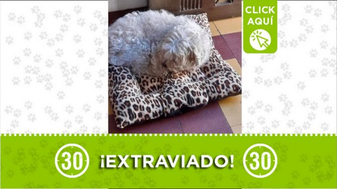 toby perdido san diego