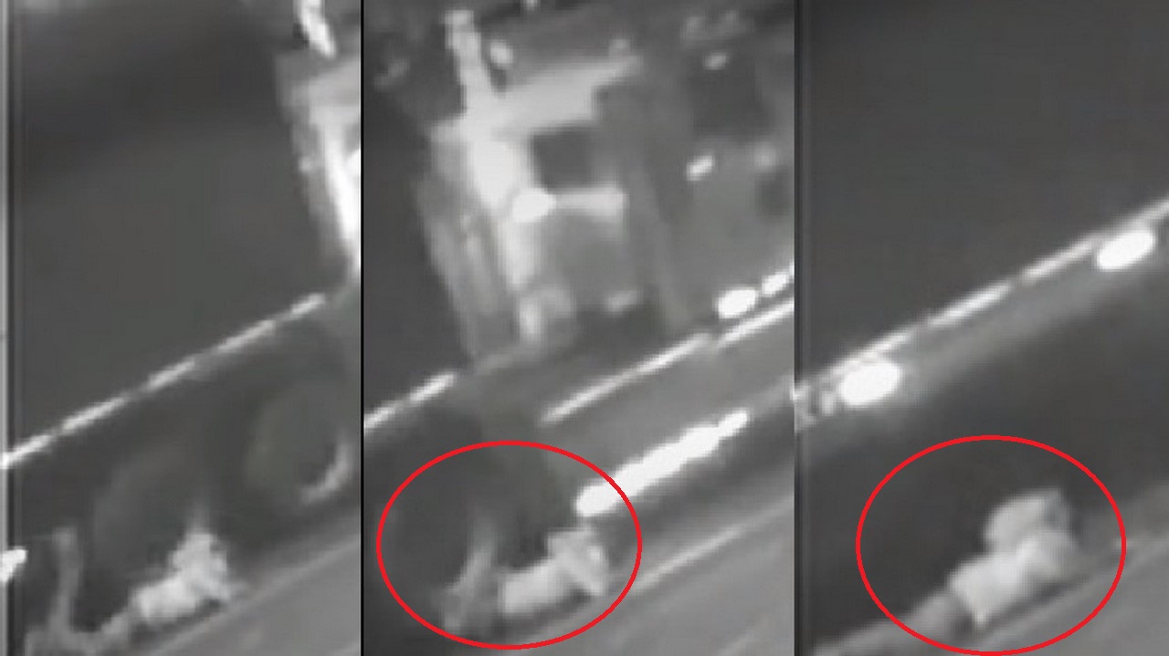 Impresionante VIDEO de hombre atropellado por tractomula