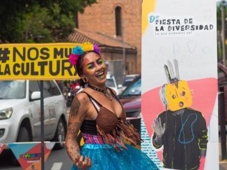 Hasta el 28 de noviembre se celebra la 9° Fiesta de la Diversidad 1 Fiesta de la Diversidad