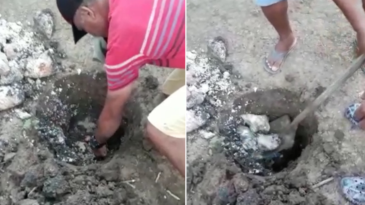 [Video] ¡Qué rabia! Papás encontraron alimentos enterrados en un colegio antioqueño