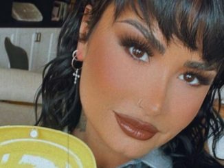 "Para eliminar el estigma": Demi Lovato lanza su propio juguete sexual 1 Demi Lovato