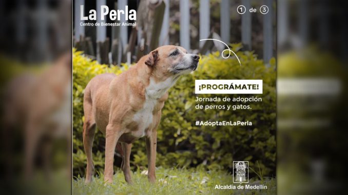 La Perla La Perla