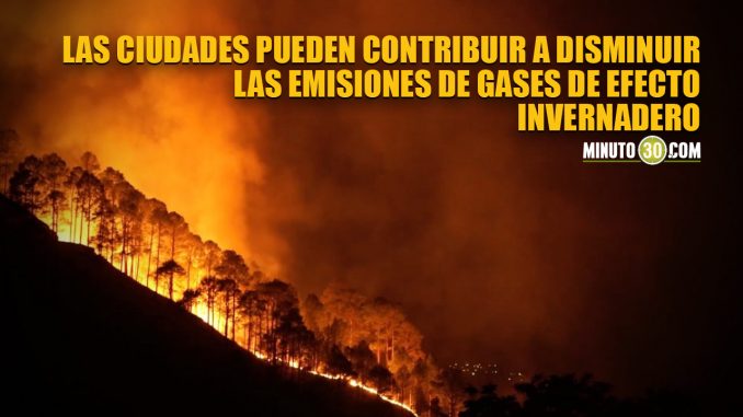 Las ciudades pueden contribuir a disminuir las emisiones de gases de efecto invernadero cambio climático
