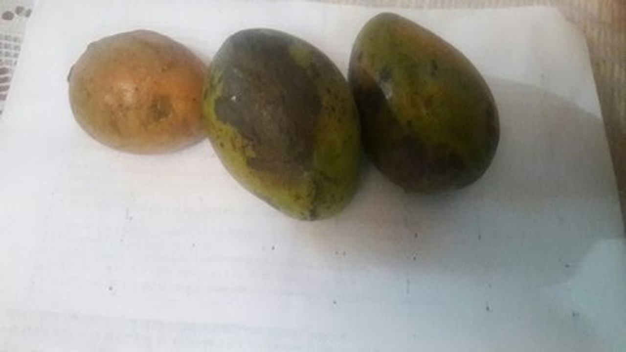 San Pedro de los Milagros