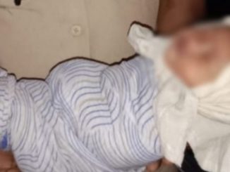 Tiraron un bebé a un desagüe y fue rescatado gracias a unos gatos que hicieron alboroto 1 Tiraron un bebé a un desagüe
