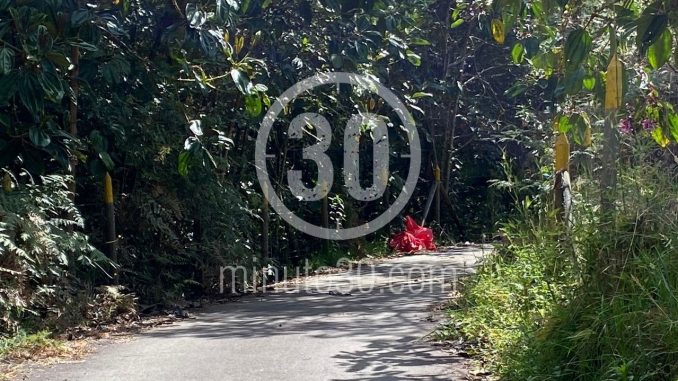 Encontraron muerto al hijo de alias 'Botija' Encontraron muerto al hijo de alias 'Botija'