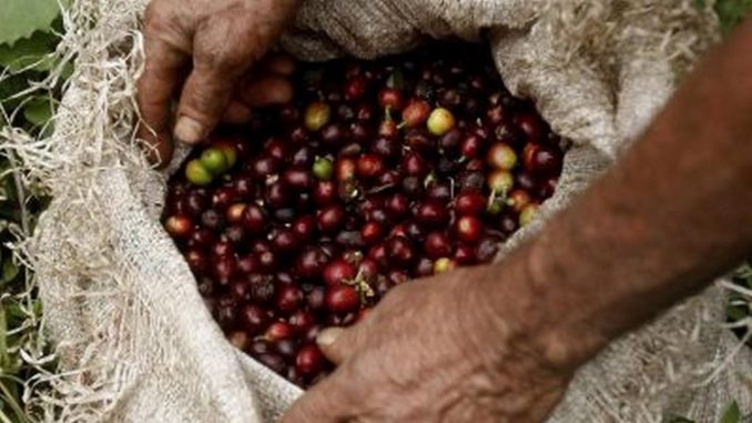 café-colombia Café