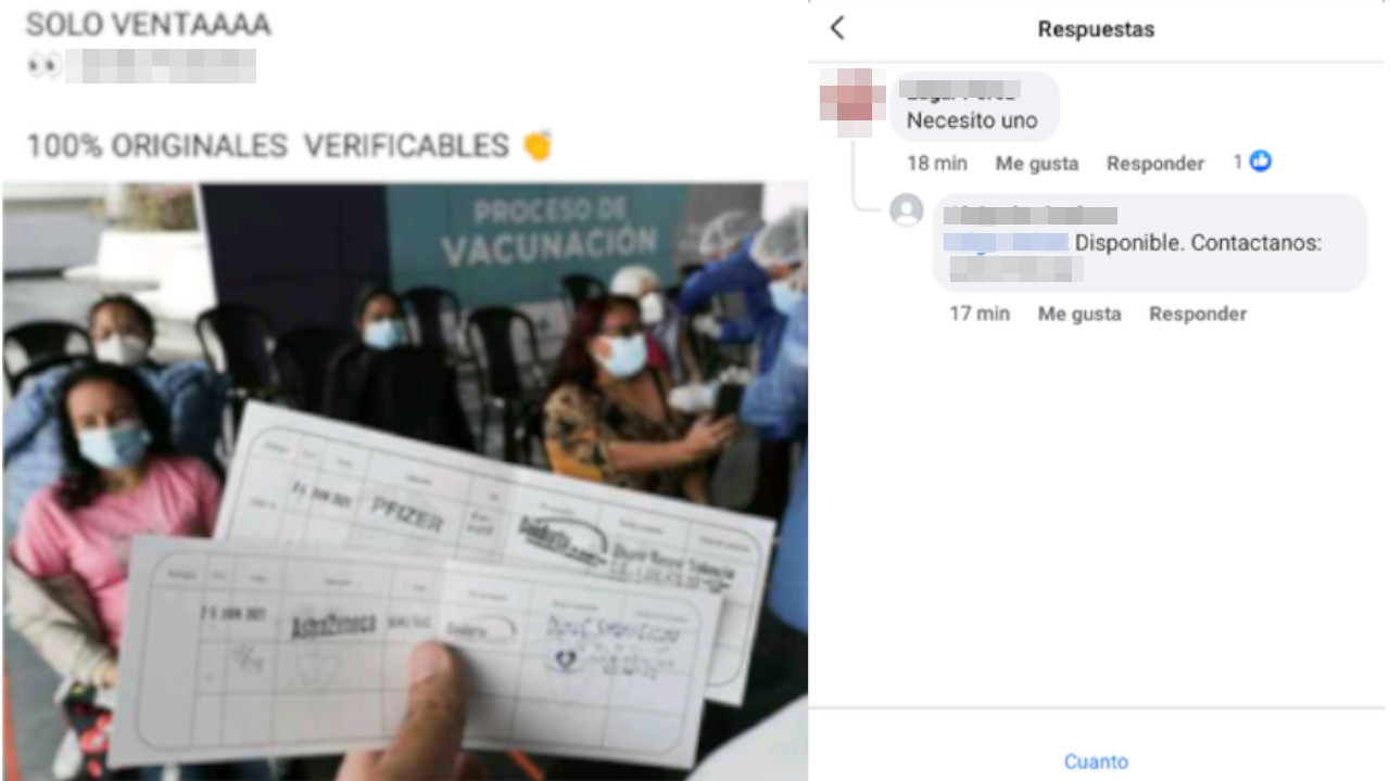 carnés de vacunación