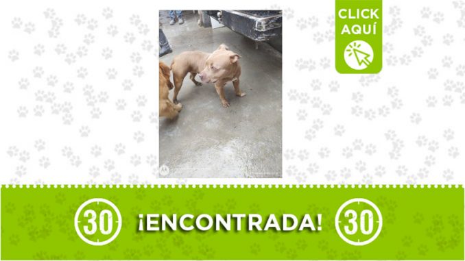 Manrique-encontrada Manrique-encontrada