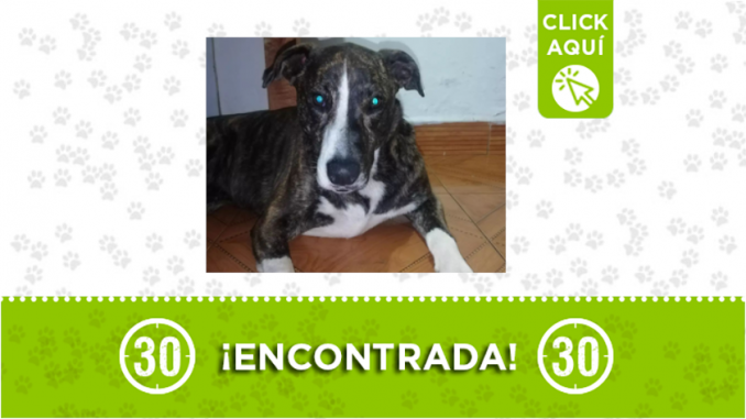 Santa Elena-encontrada Santa Elena-encontrada