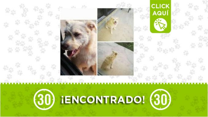 Barbosa-encontrado Barbosa-encontrado