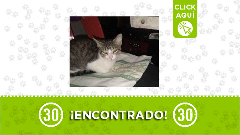 Manrique Guadalupe-encontrado