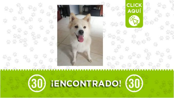 París-encontrado París-encontrado