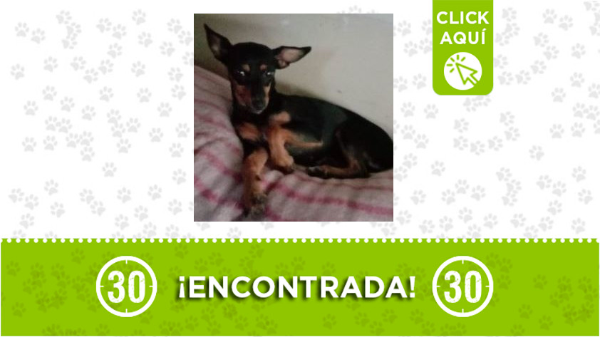Boston-encontrada