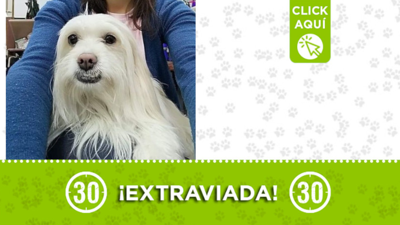 "Lissi" se perdió en Barrio Unidos -San Blas