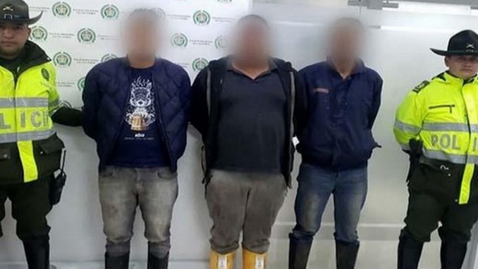 matadero clandestino suba bogota