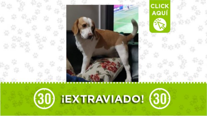 Max Max