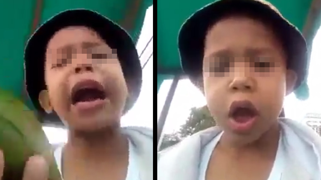 [Video] Niño acompaña a su papá a vender aguacates y su particular forma de ayudarlo se vuelve viral