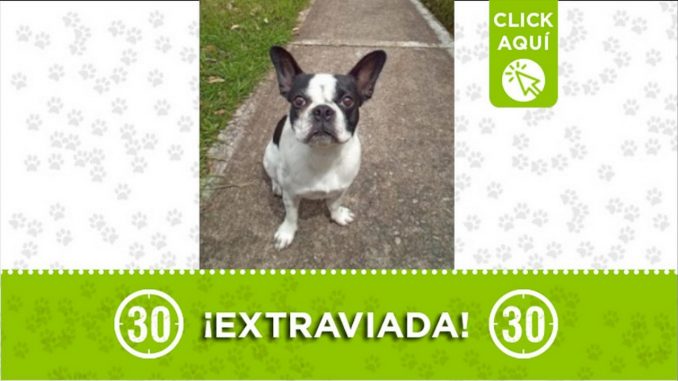 perla perdida antioquia 2021