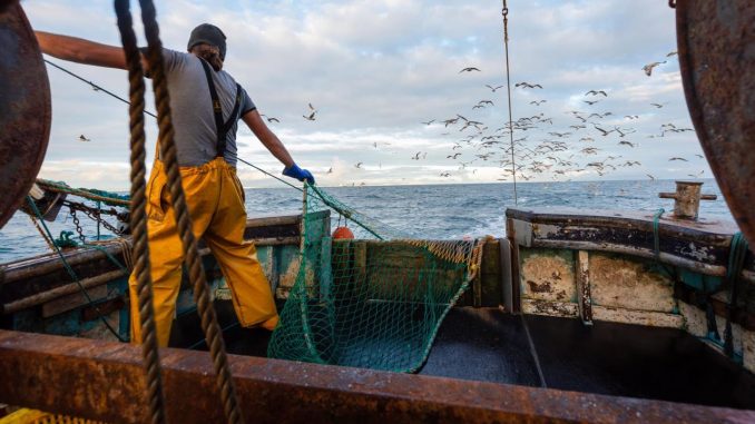 pesca pesca