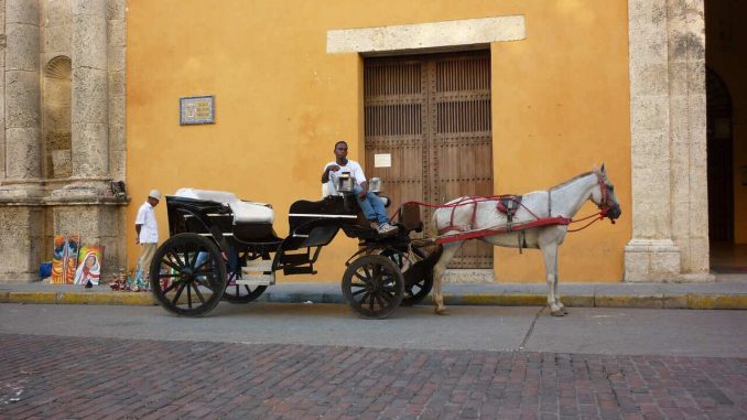 pesebreras pesebreras