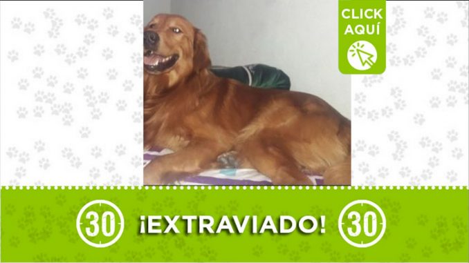 tomas perdido villa del socorro
