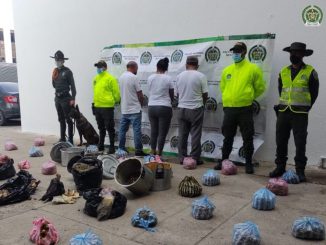 ¡Indignante! Les descubrieron bolsas con carne de tortuga que pretendían vender 1 ¡Indignante! Les descubrieron bolsas con carne de tortuga que pretendían vender