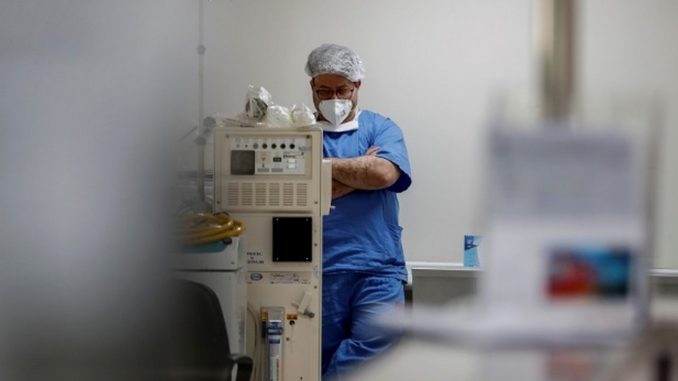 variante covid cepa brasil
