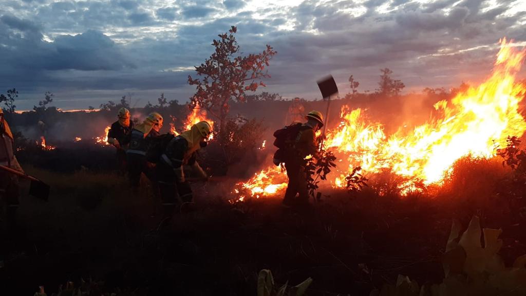 Hace tres días intentan controlar un incendio en el Parque Nacional Natural El Tuparro 4 3 14