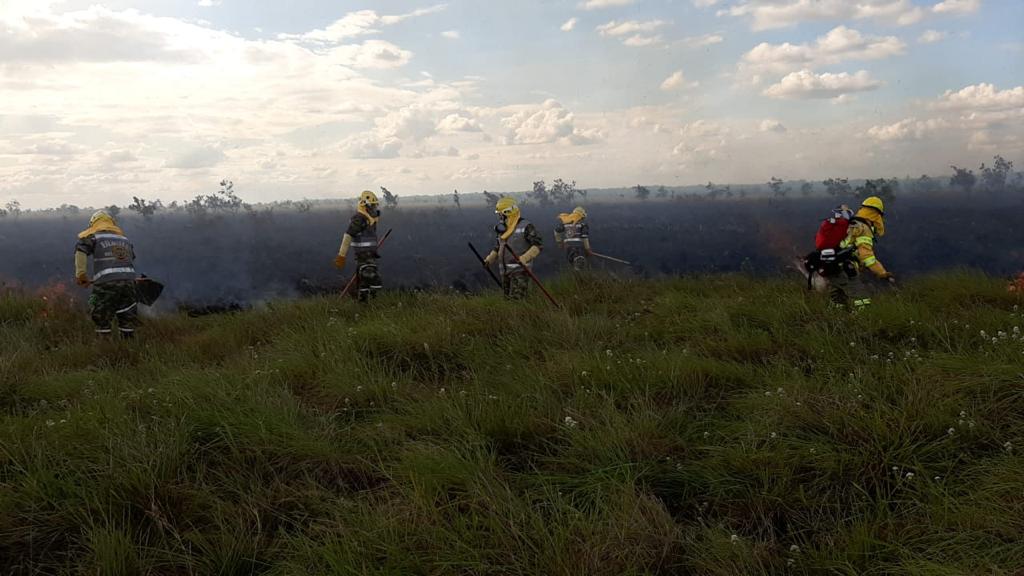 Hace tres días intentan controlar un incendio en el Parque Nacional Natural El Tuparro 8 7 2