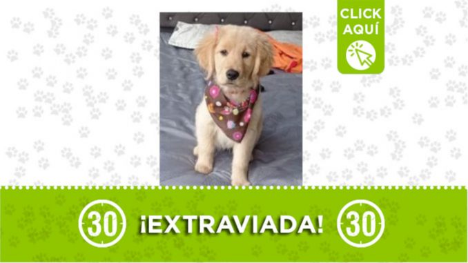 Cloe Cloe