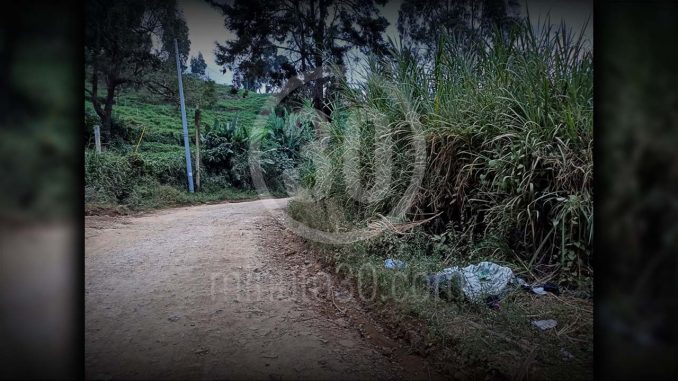 EN FOTOS En plena carretera, así hallaron el cuerpo sin vida de un hombre en zona rural de Bello Bello