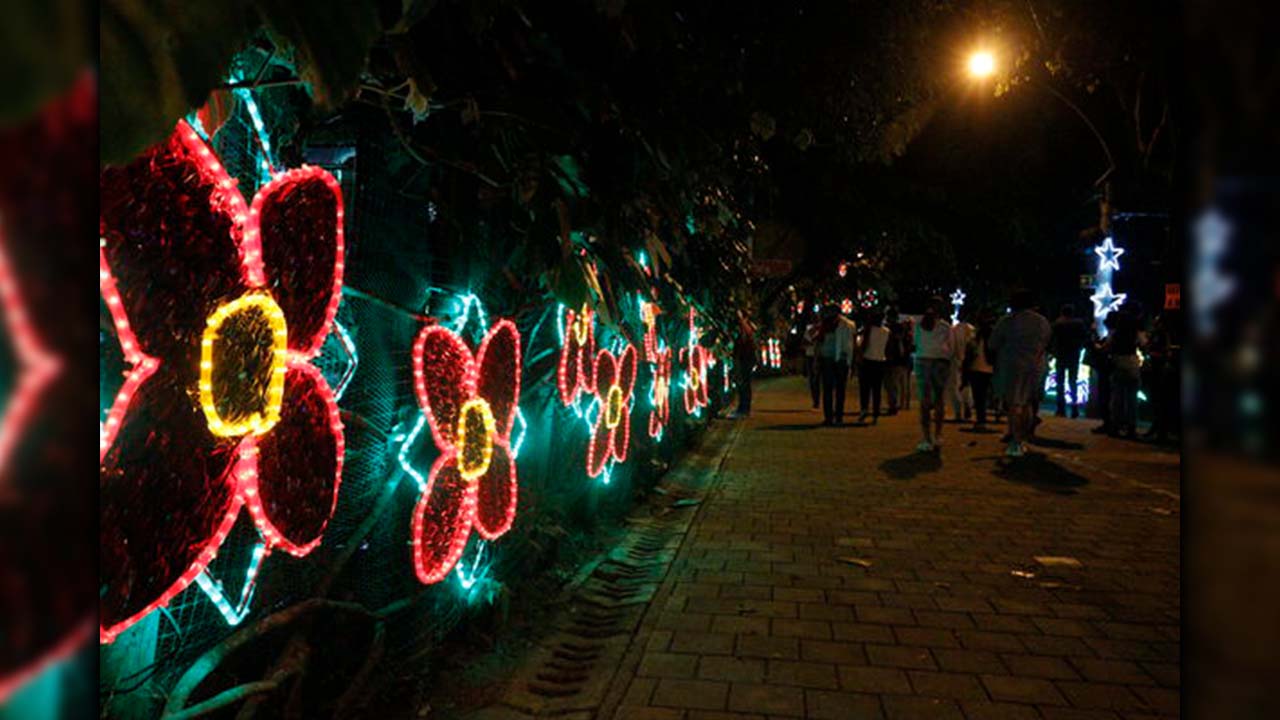 Parque Norte Alumbrados