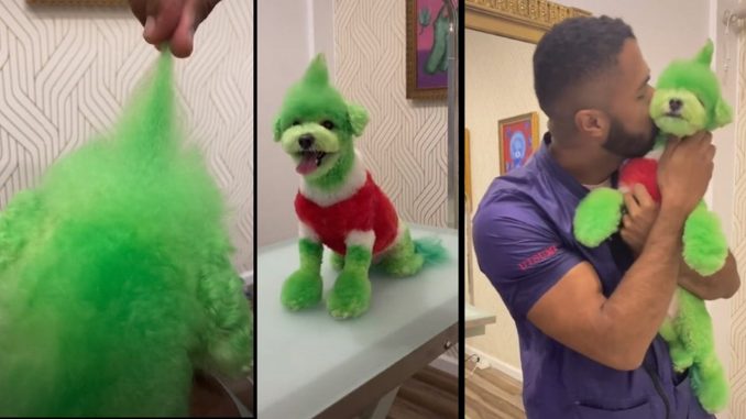 Grinch perro pintando