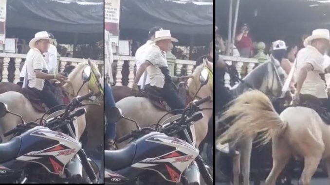 Hombre utilizado taser contra un caballo