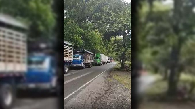 Reportan trancón de más de 16 horas en Puerto Valdivia Reportan trancón de más de 16 horas en Puerto Valdivia