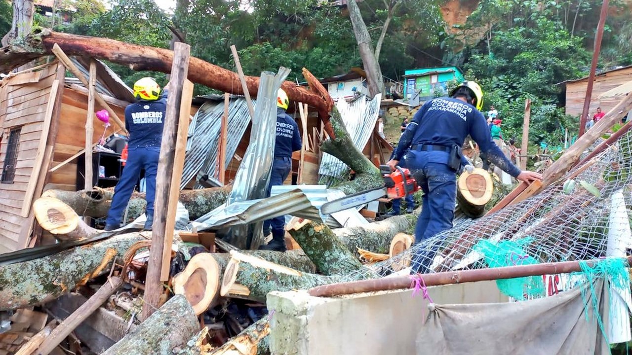 Dos personas muertas por caída de árbol en Bucaramanga