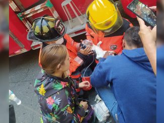 En Bello un gatico se estaba ahogando con unas instalaciones navideñas y los Bomberos lo rescataron 1 En Bello un gatico se estaba ahogando con unas instalaciones navideñas y los Bomberos lo recataron
