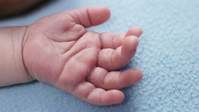 Bebé que habría sido mordido por su propia madre está en un hogar sustituto Bebé que habría sido mordido por su propia madre está en un hogar sustituto