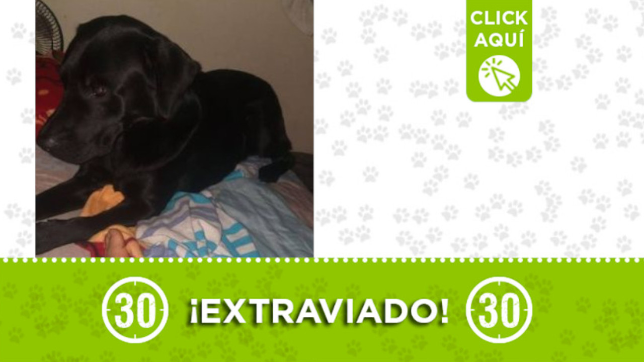 "Canyito", se perdió en Bello