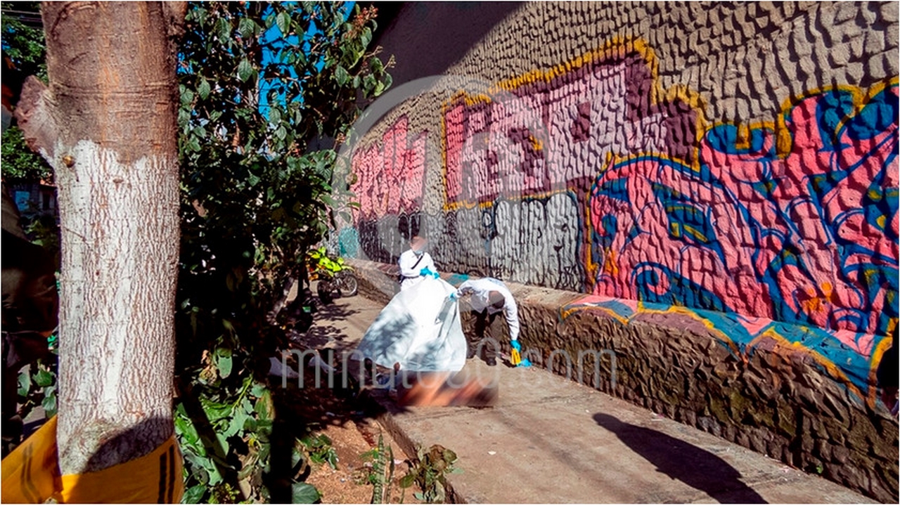 cementerio San Pedro